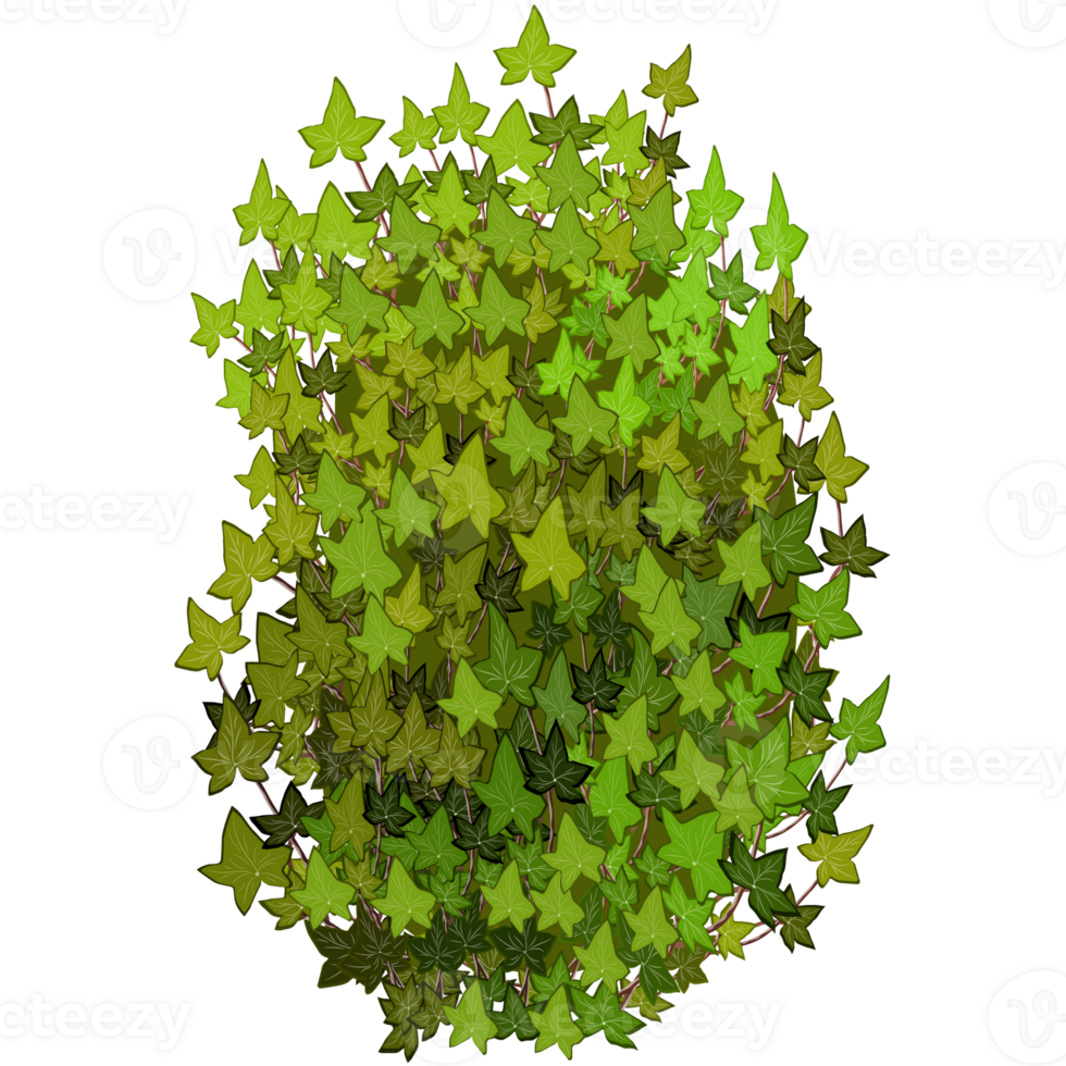 Green bush and tree for landscape and architecture drawing, elements for environment and garden,botanical elements for section in spring. png