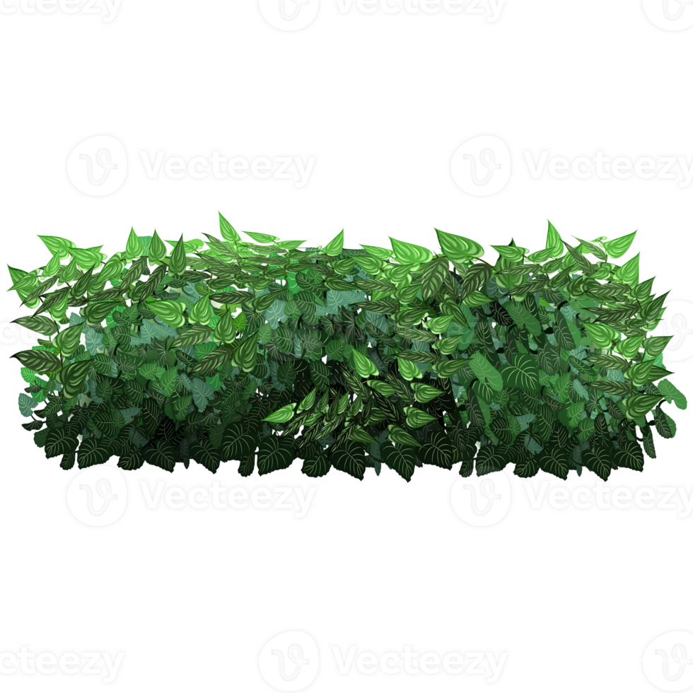 Green bush and tree for landscape and architecture drawing, elements for environment and garden,botanical elements for section in spring. png