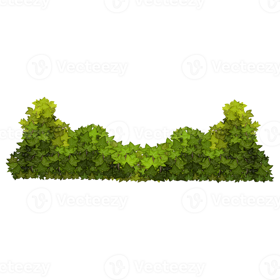Green bush and tree for landscape and architecture drawing, elements for environment and garden,botanical elements for section in spring. png