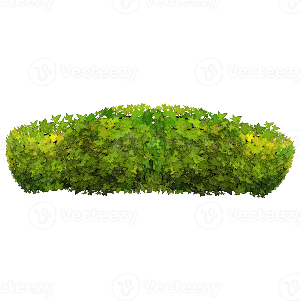 Green bush and tree for landscape and architecture drawing, elements for environment and garden,botanical elements for section in spring. png