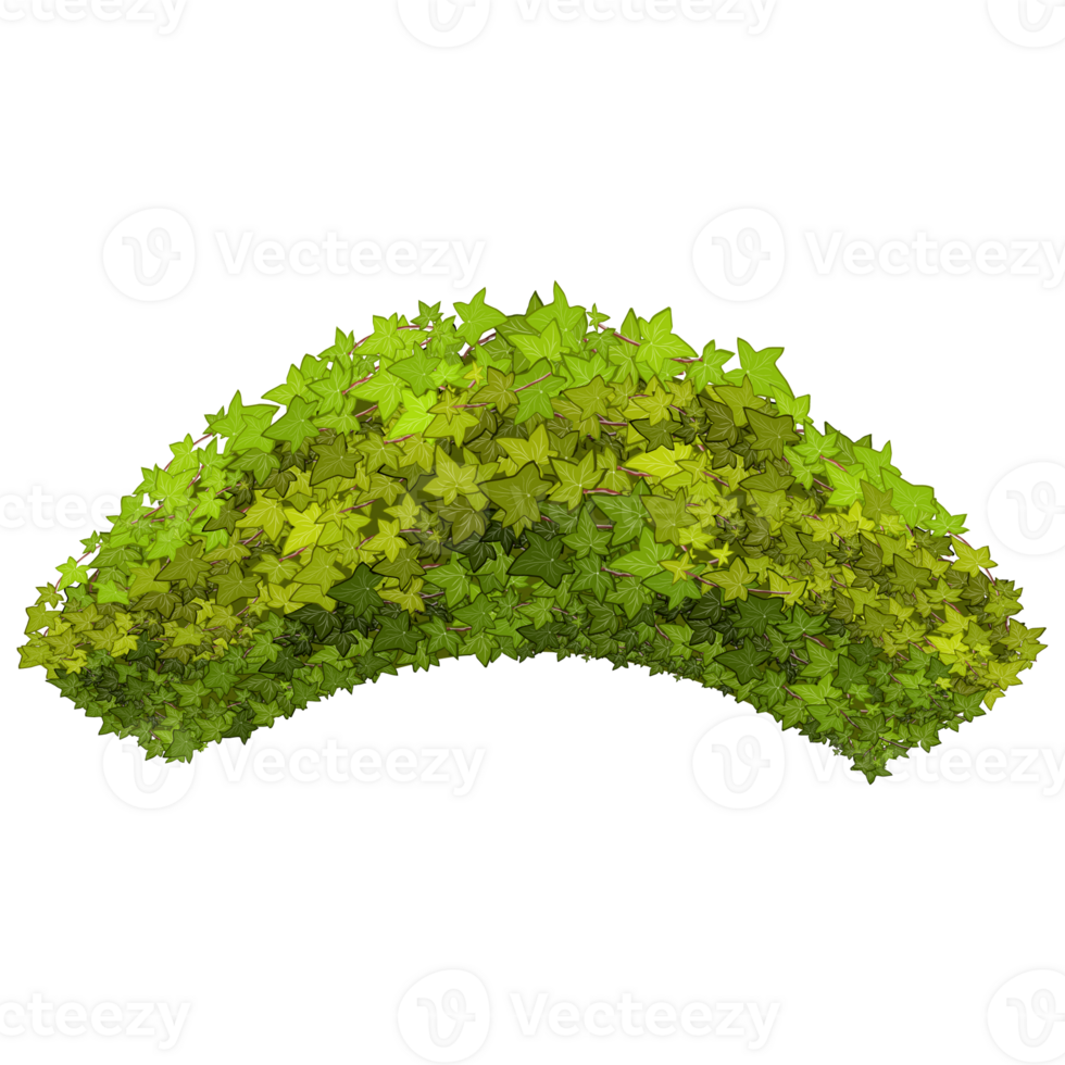 Green bush and tree for landscape and architecture drawing, elements for environment and garden,botanical elements for section in spring. png