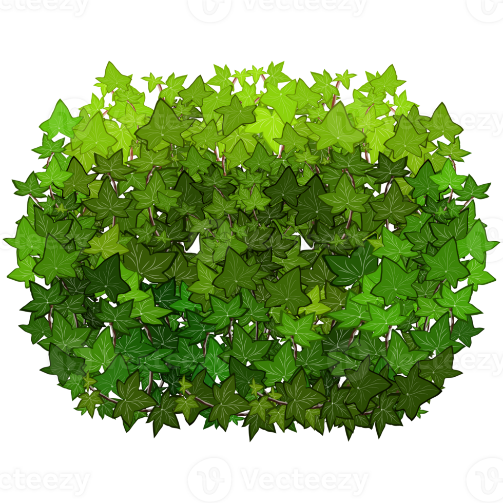 Green bush and tree for landscape and architecture drawing, elements for environment and garden,botanical elements for section in spring. png