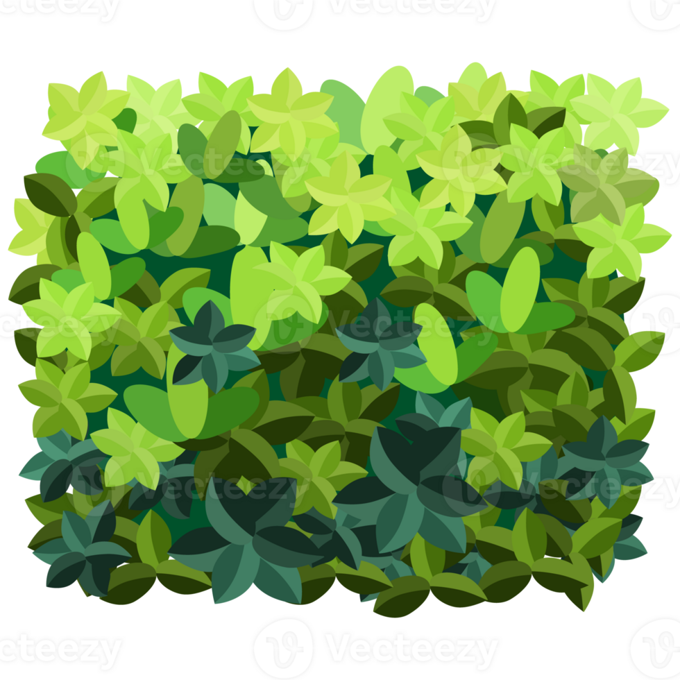 Green bush and tree for landscape and architecture drawing, elements for environment and garden,botanical elements for section in spring. png