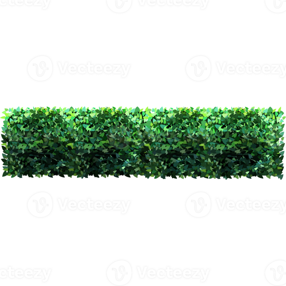Green bush and tree for landscape and architecture drawing, elements for environment and garden,botanical elements for section in spring. png