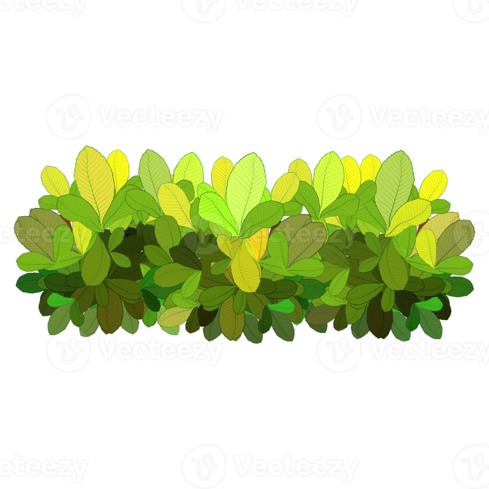 Green bush and tree for landscape and architecture drawing, elements for environment and garden,botanical elements for section in spring. png