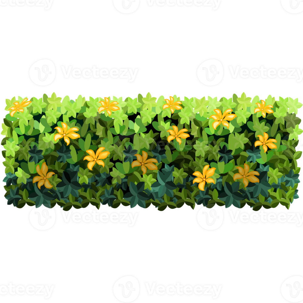 Green bush and tree for landscape and architecture drawing, elements for environment and garden,botanical elements for section in spring. png