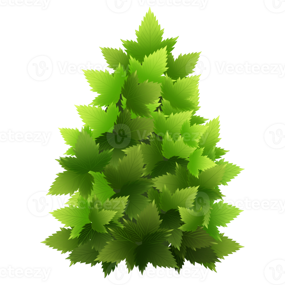 Green bush and tree for landscape and architecture drawing, elements for environment and garden,botanical elements for section in spring. png