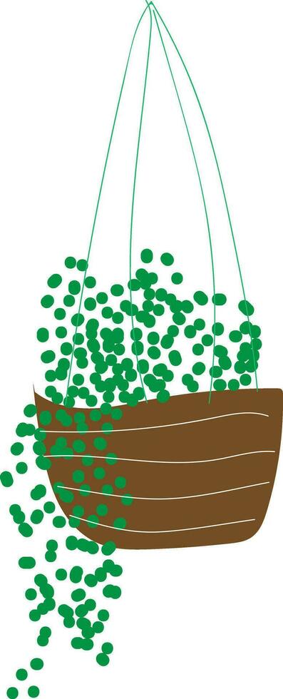 Green plants hanging in flower pot, illustration, vector on white background.