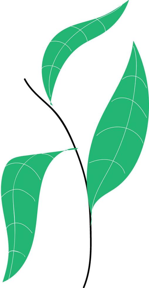 Plant with leaves hand drawn design, illustration, vector on white background.