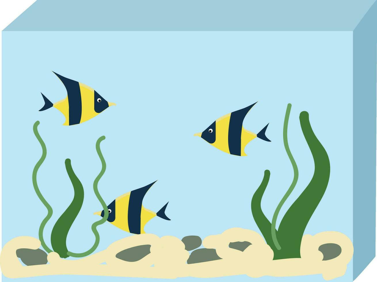 Aquarium with three fishes vector illustration on white background