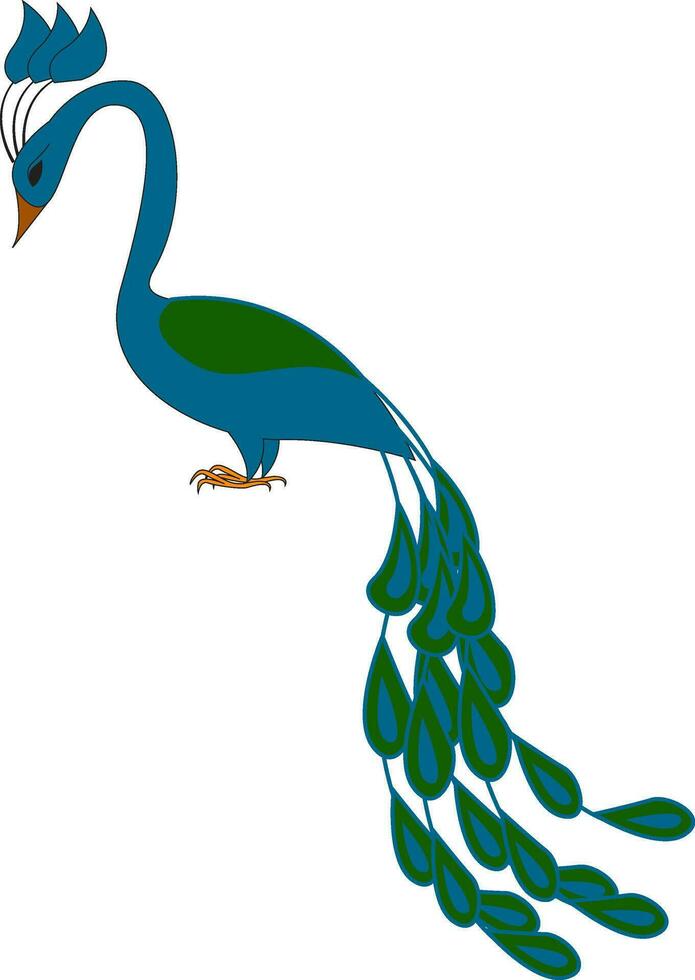 Blue and green peacock  vector illustration on white background