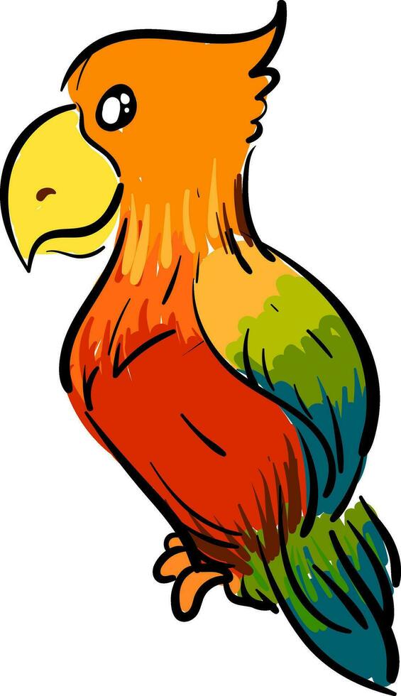 Colorful parrot cartoon vector illustration on white background