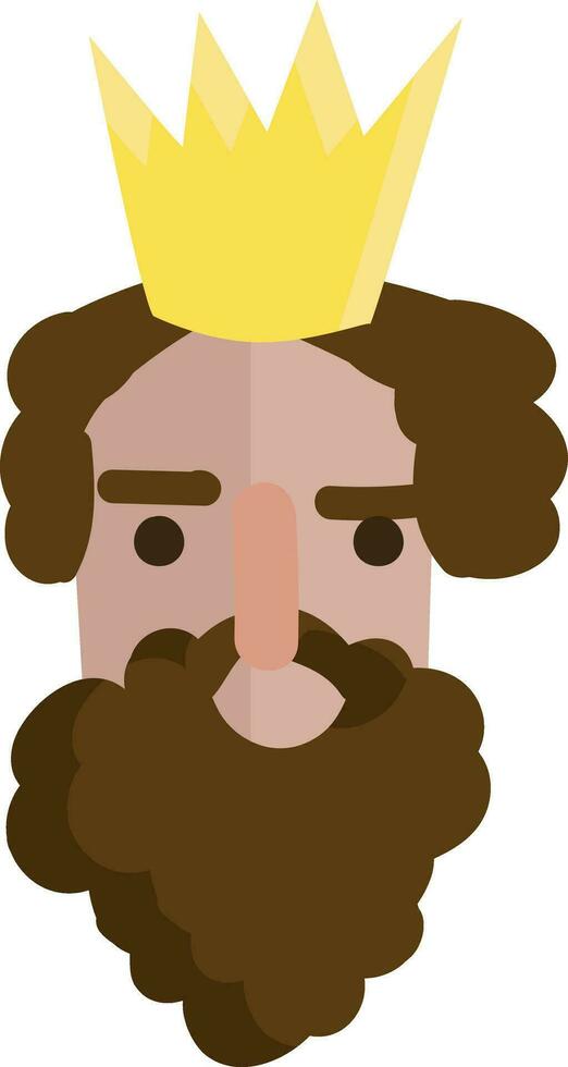 Portrait of a king with mustache and beard and golden crown   vector illustration on white background