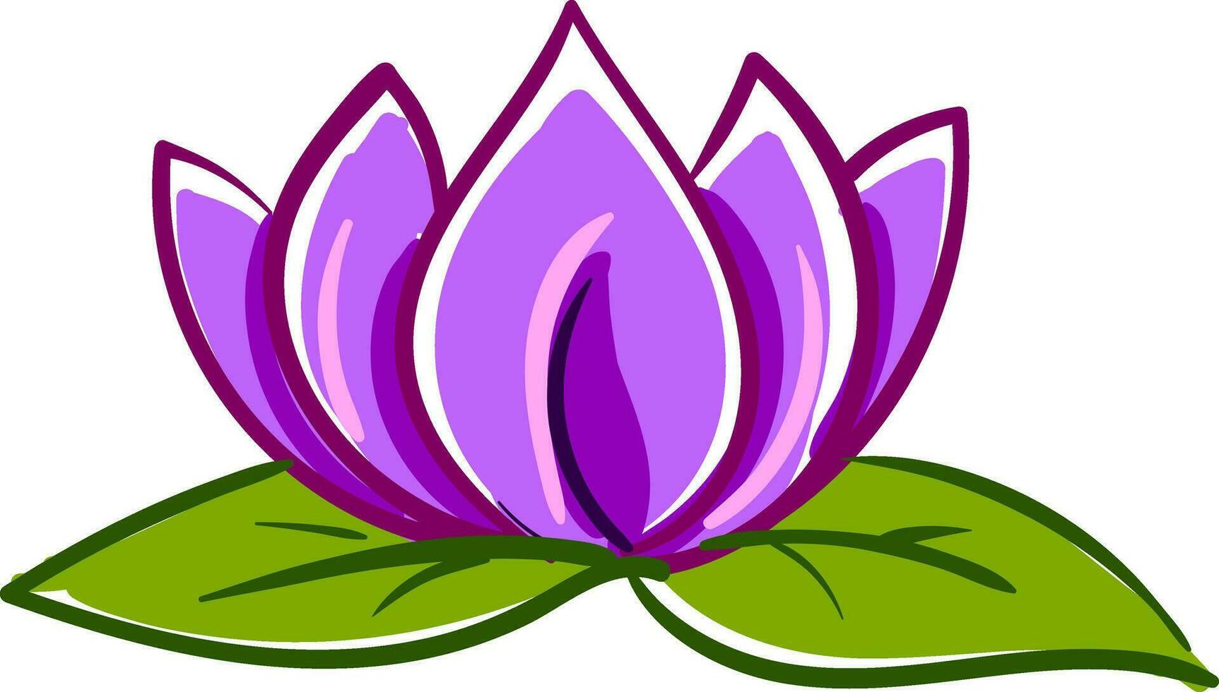 Pink and purple lotus with two green leafes vector illustration on white background