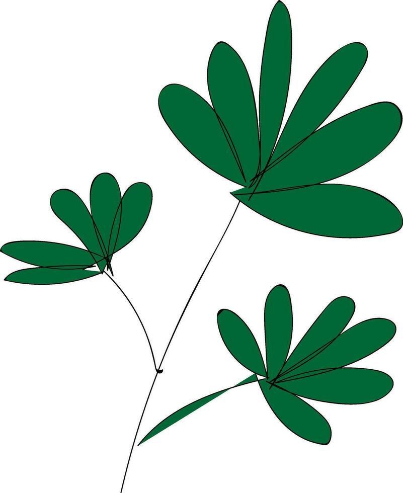 Three green leaves on a branch   vector illustration on white background