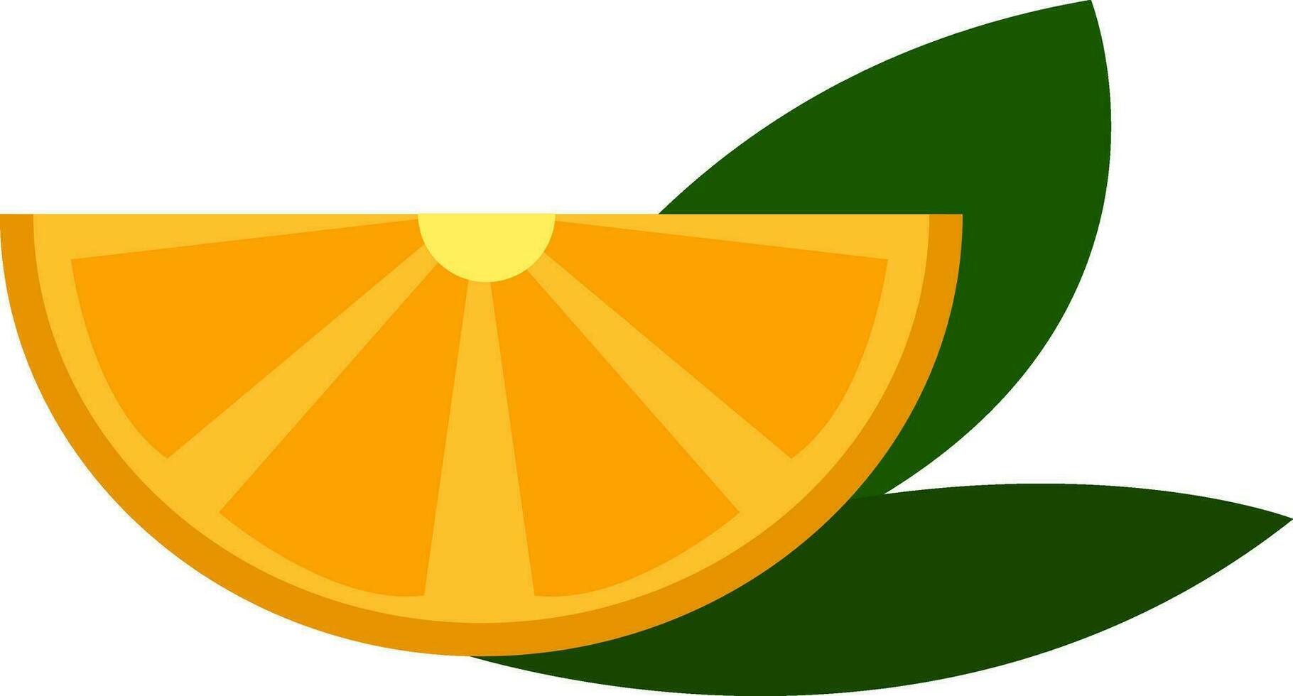Yellow lemon slice with green leaves   vector illustration on white background