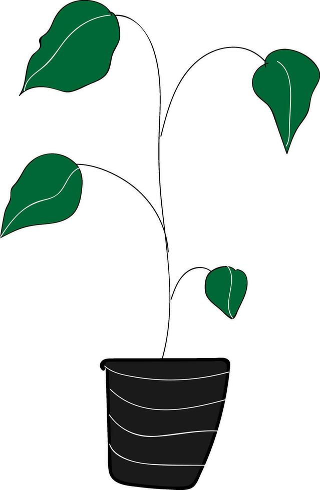 planta de casa con grande verde hojas ilustración color vector en blanco antecedentes