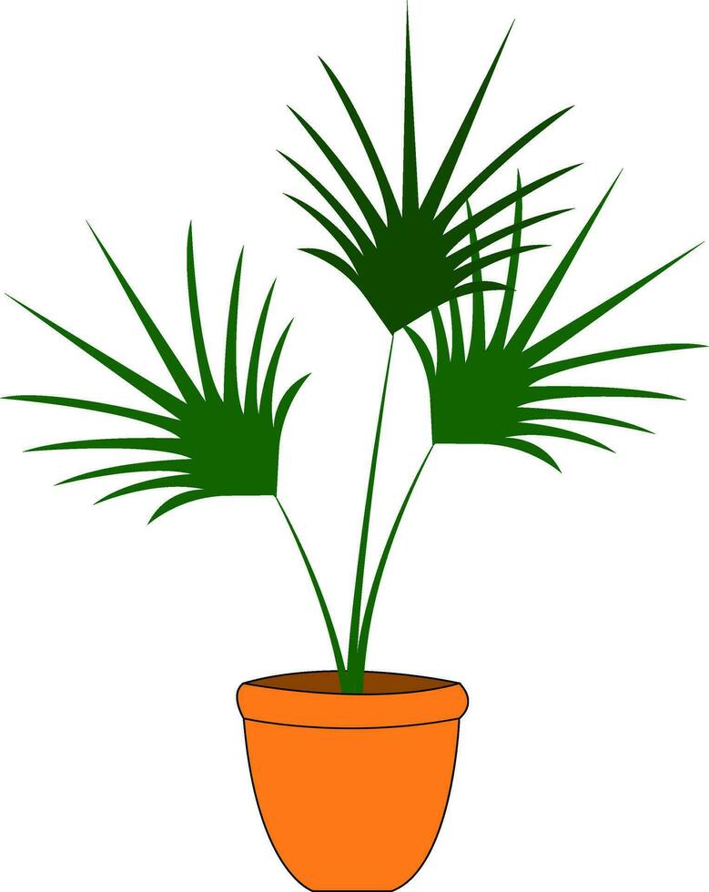 Green palm tree in orange flowerpot  vector illustration on white background