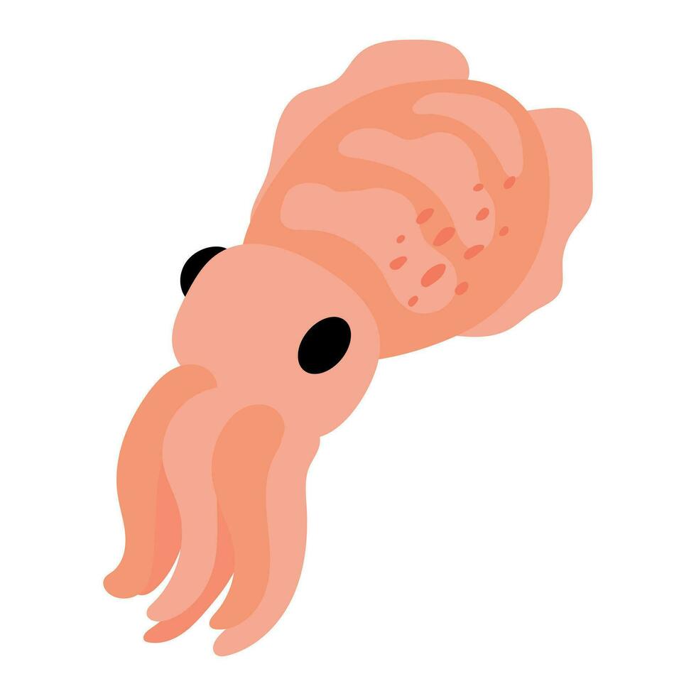 Cute hand drawn cuttlefish. White background, isolate. vector