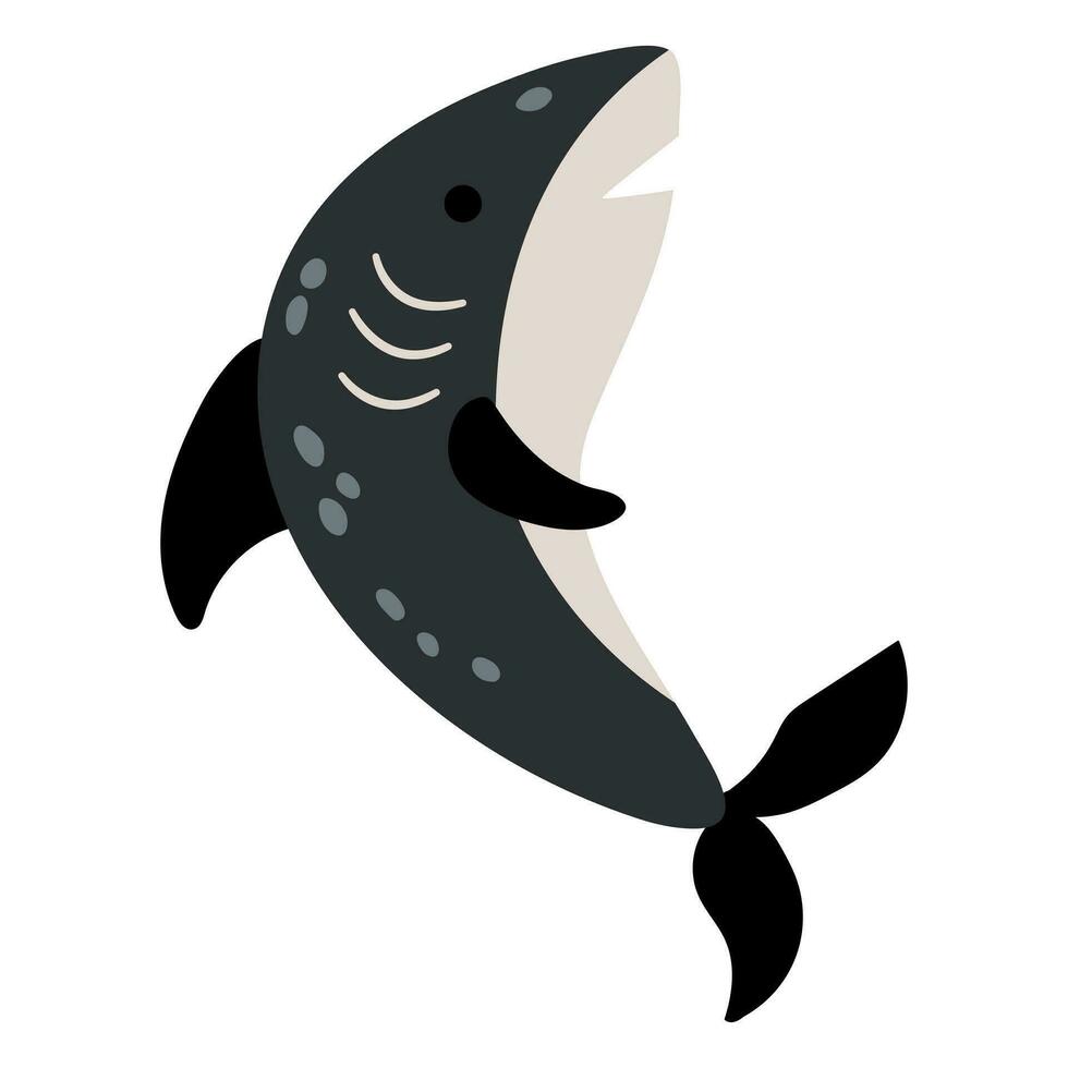 Cute hand drawn killer whale. vector