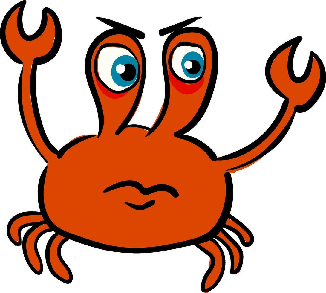 Angry red crab  illustration  color  vector on white background