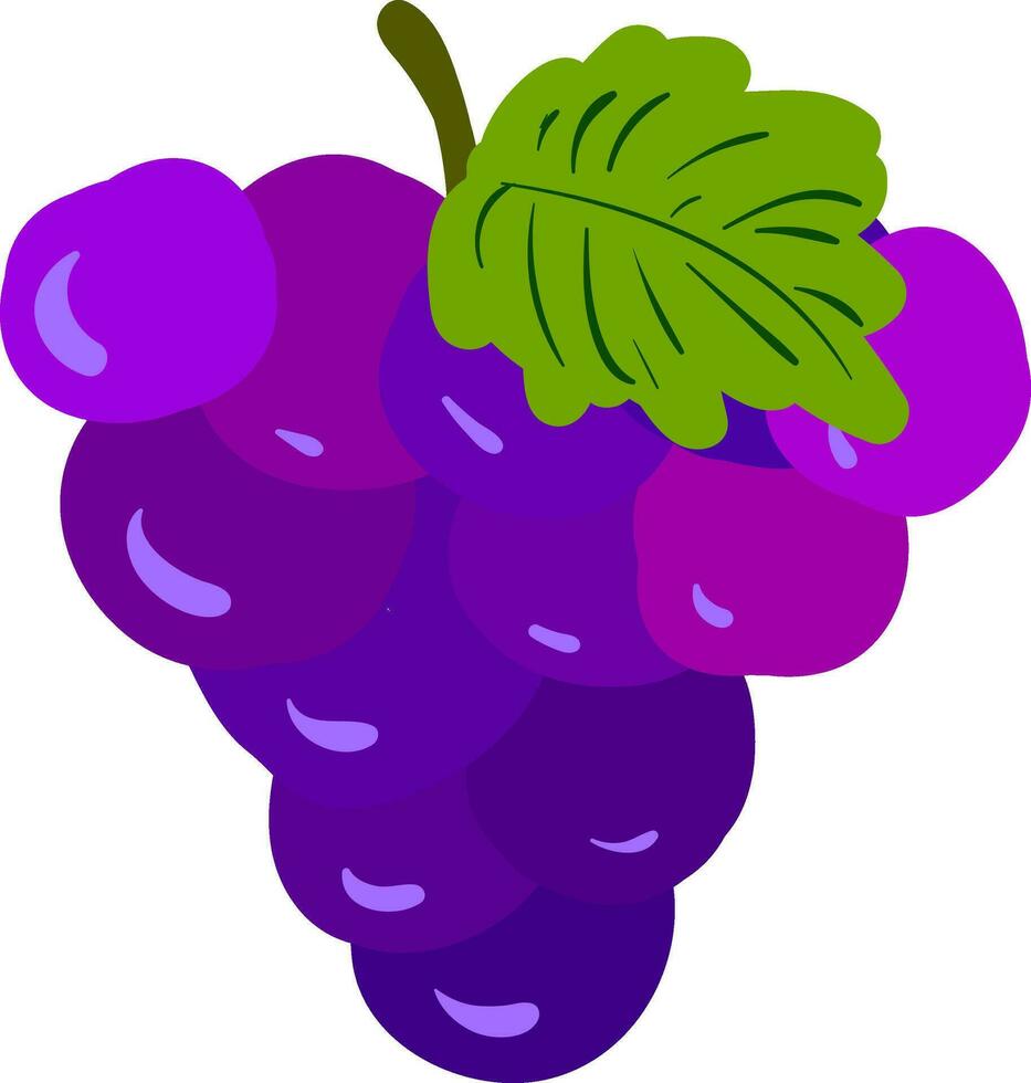 Purple-green grape clipart vector or color illustration