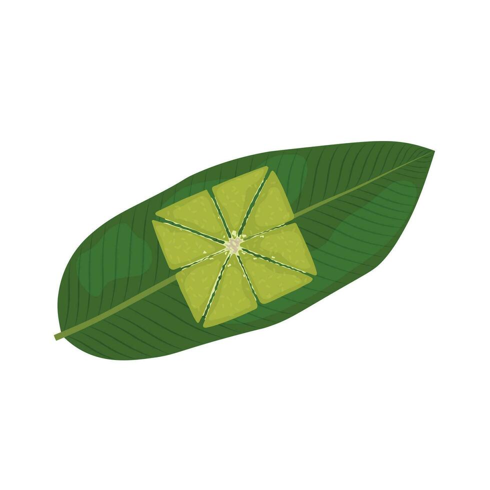 Cooked sticky rice cake cut into pieces on a dong leaf vector illustration isolated on white background, top view. Element for Tet holidays, Vietnamese New Year concept.