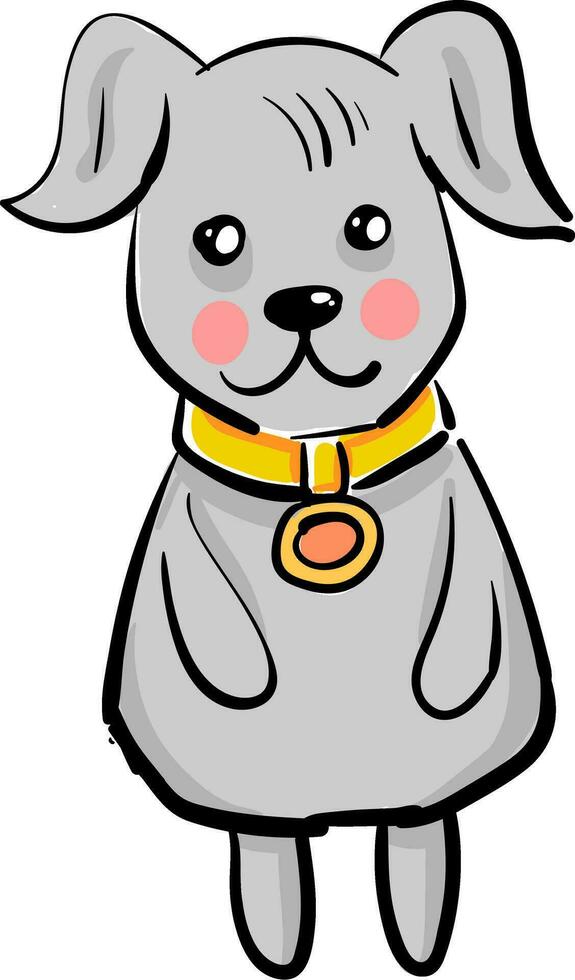 A grey dog with a golden collar looks cute vector or color illustration