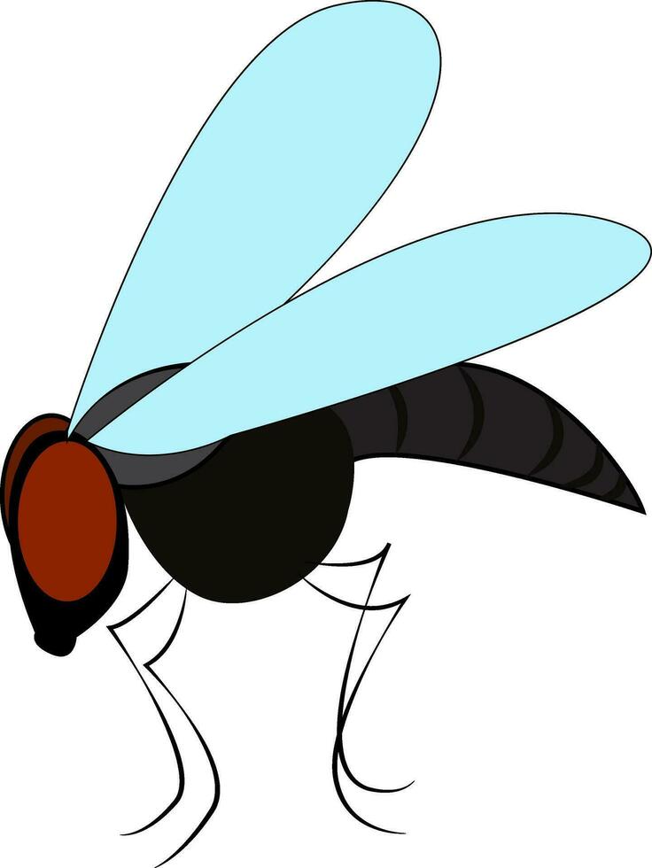 Big black fly vector or color illustration