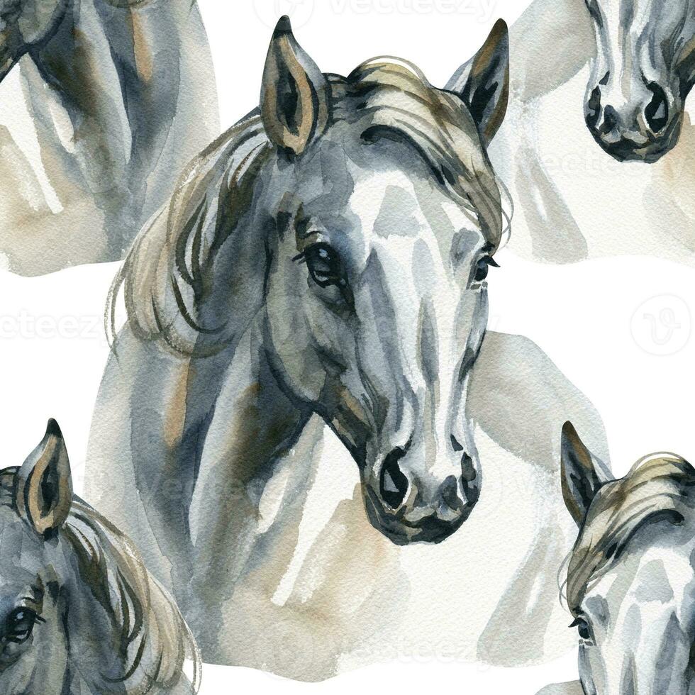 Seamless pattern with portraits of white horses. Hand drawn watercolor. photo