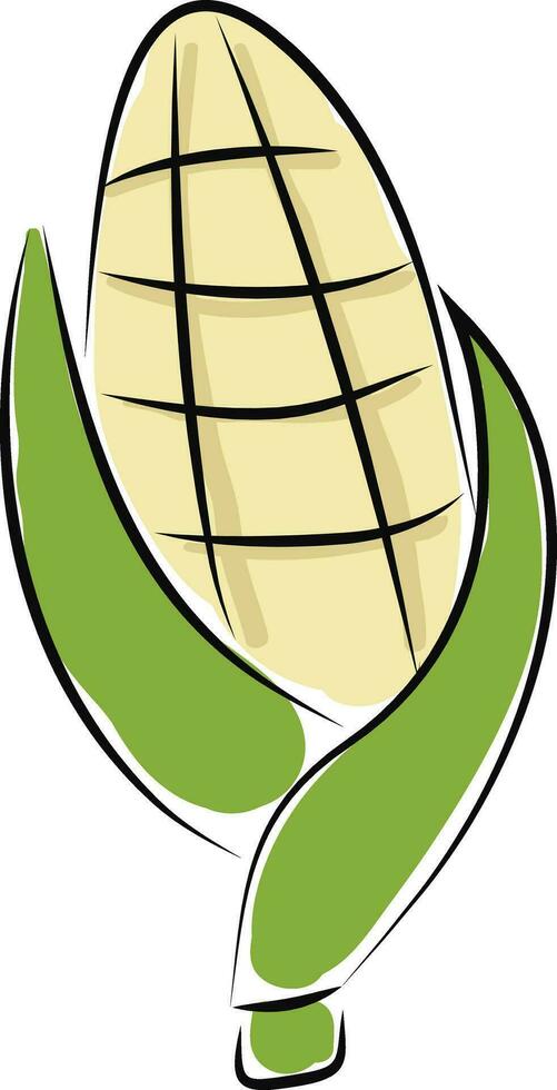 Corn hand drawn design, illustration, vector on white background.