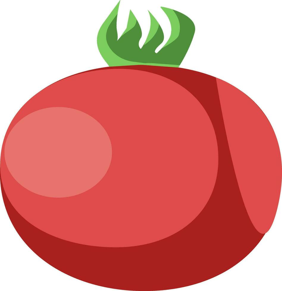 A farm fresh healthy nutritious red tomato fruit vector color drawing or illustration
