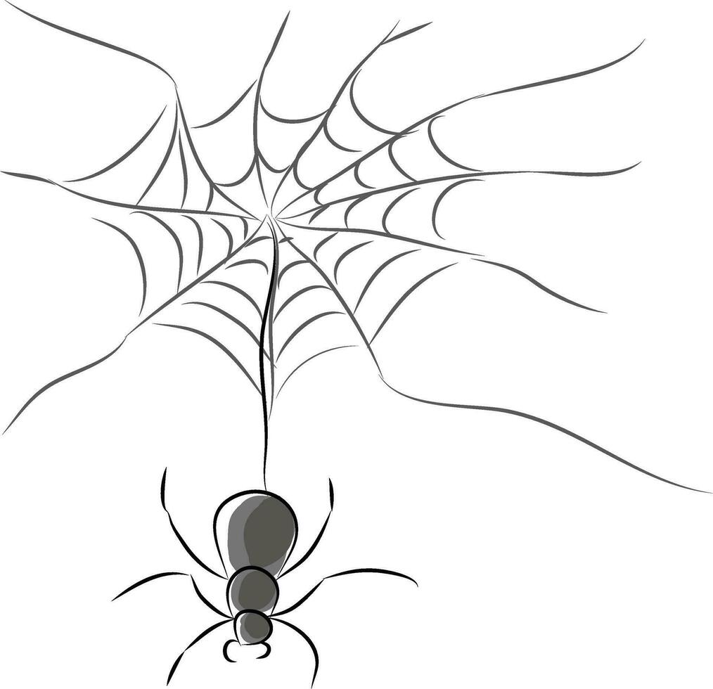 A black and white picture of a spider with its web vector color drawing or illustration