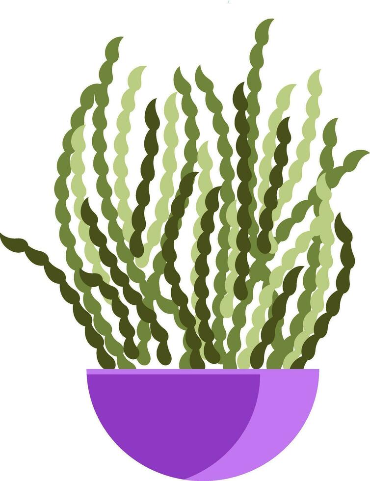 A purple flower pot with spiral standing plants vector color drawing or illustration