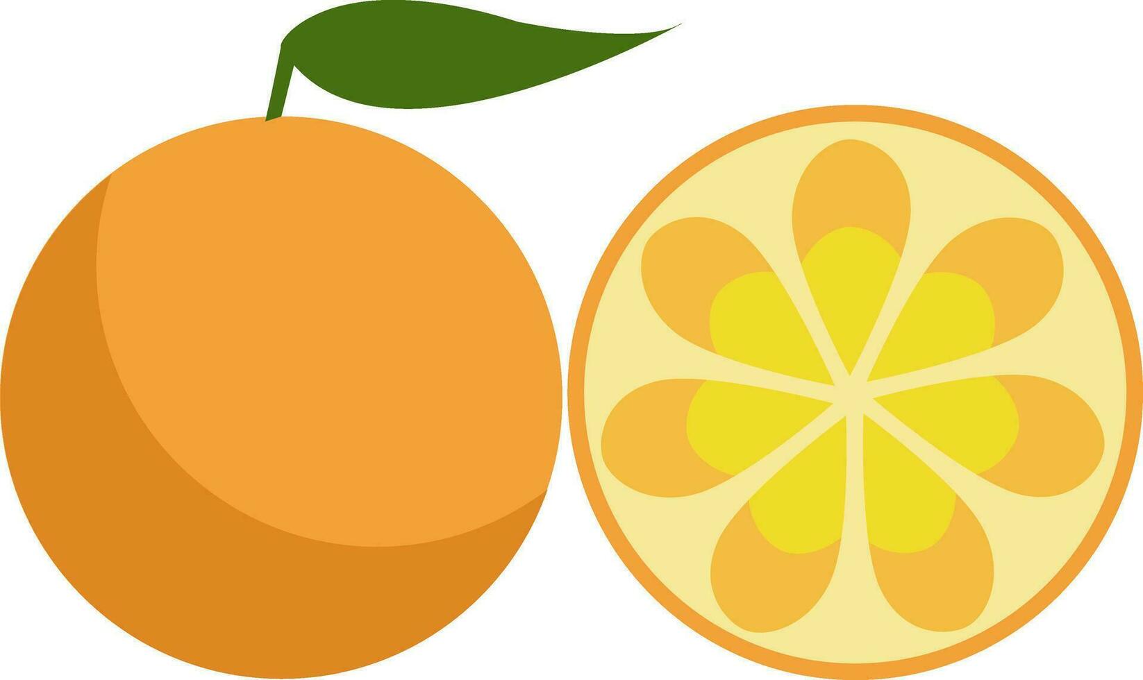 A farm fresh orange fruit to be enjoyed by someone vector color drawing or illustration