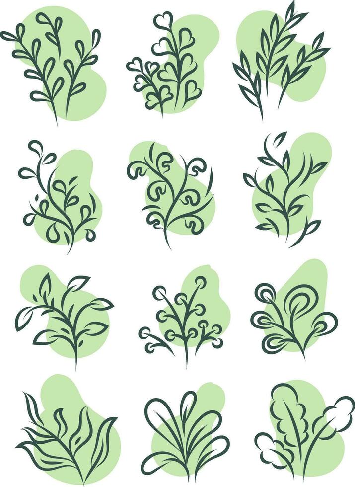 Minimal green plants, illustration, vector on white background.