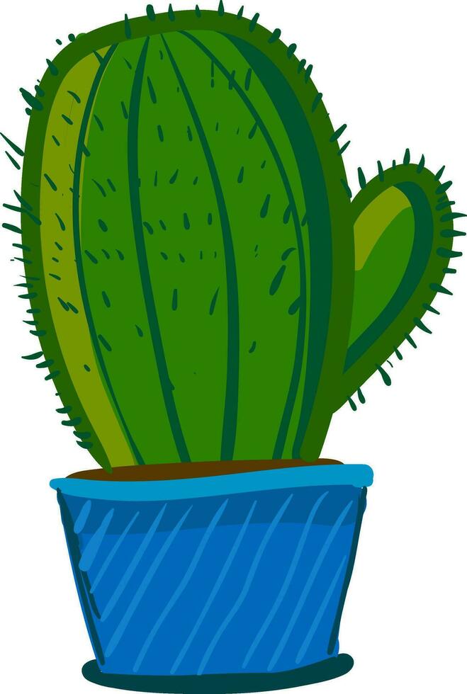 A dome shaped cactus plant in a blue flower pot vector color drawing or illustration