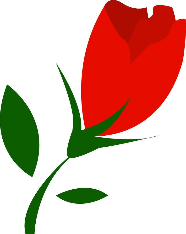 un hermosa rojo tulipán flor vector o color ilustración