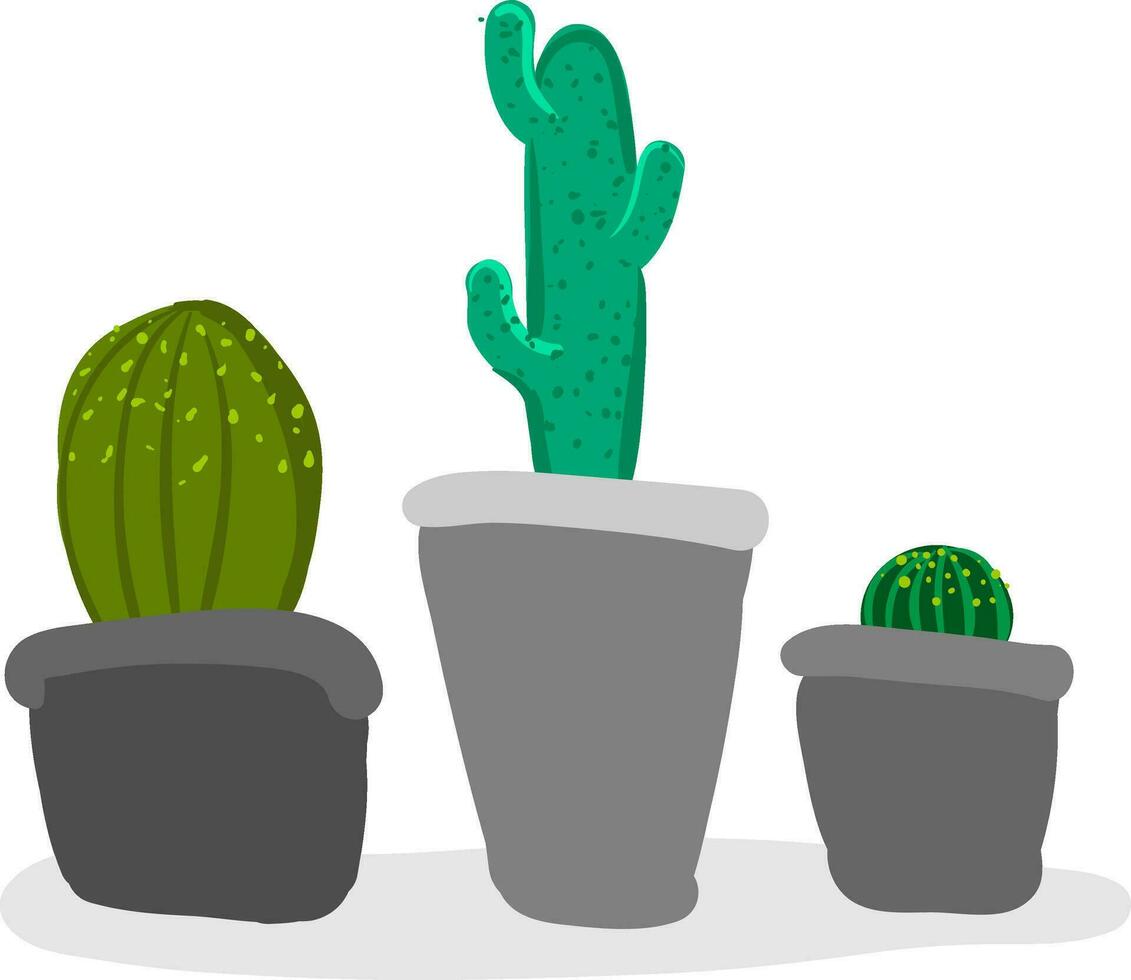 hermosa interior decoración de pequeño cactus ollas proporciona extra estilo a el espacio ocupado vector color dibujo o ilustración