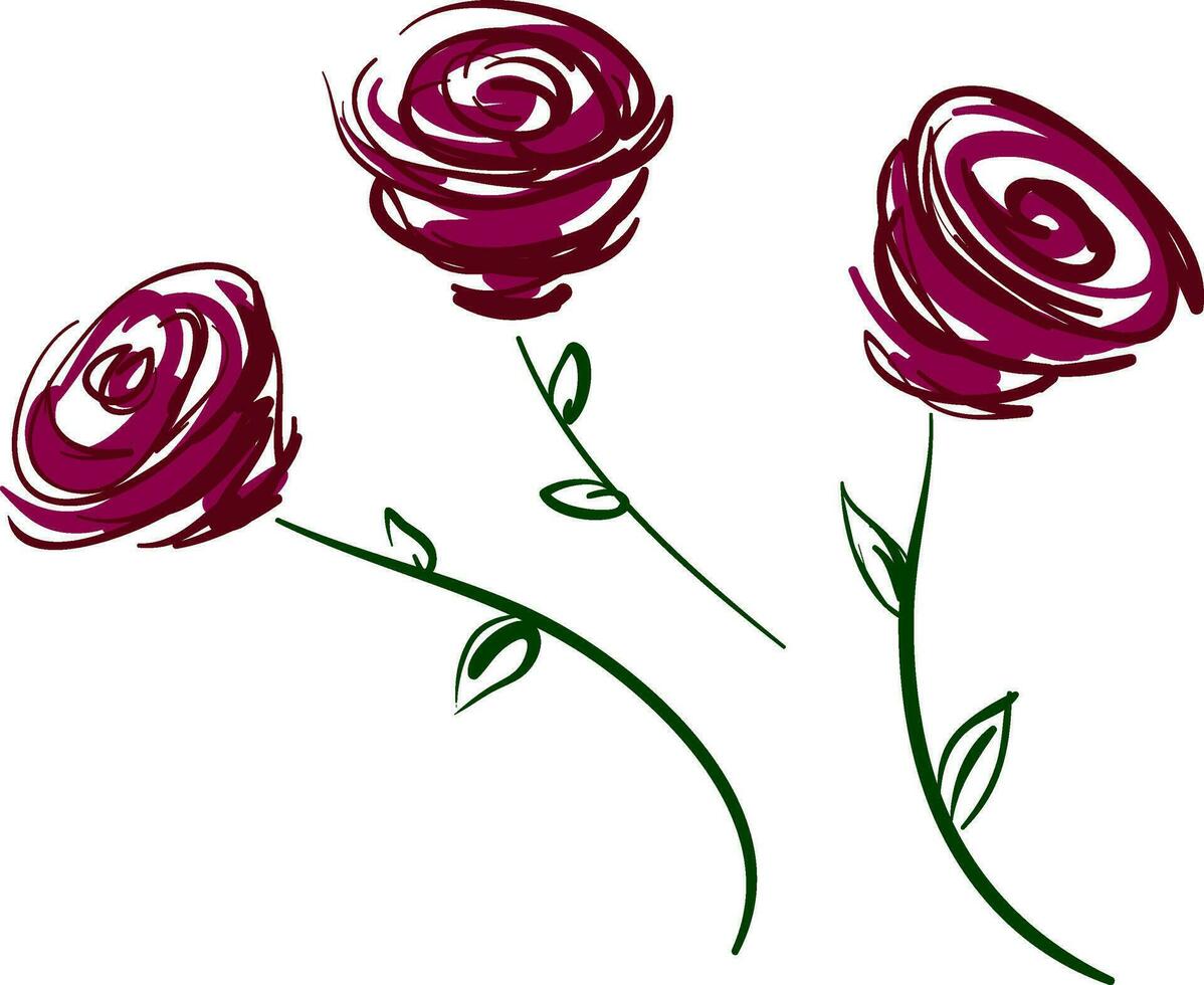 Three red roses vector or color illustration