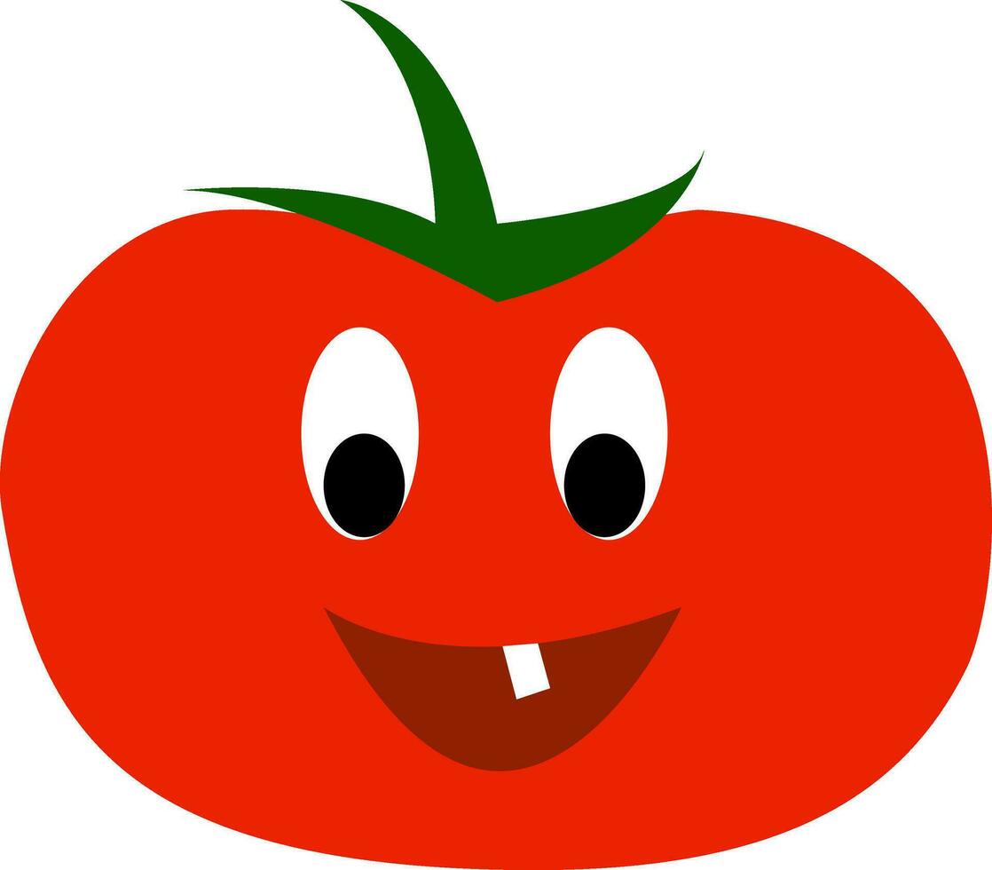 Red tomato with crooked tooth vector or color illustration