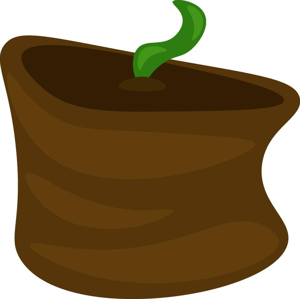 A sprouting seedling vector or color illustration
