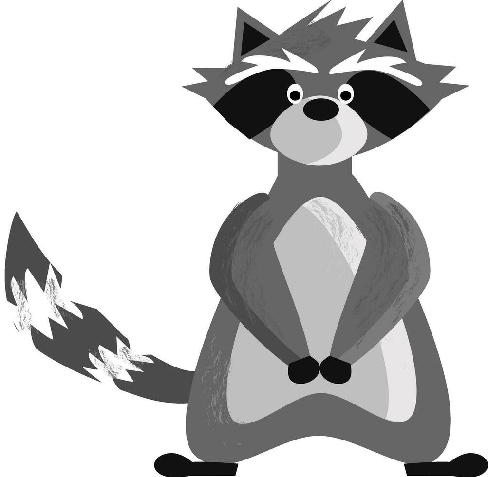 A long tail raccoon is standing vector or color illustration