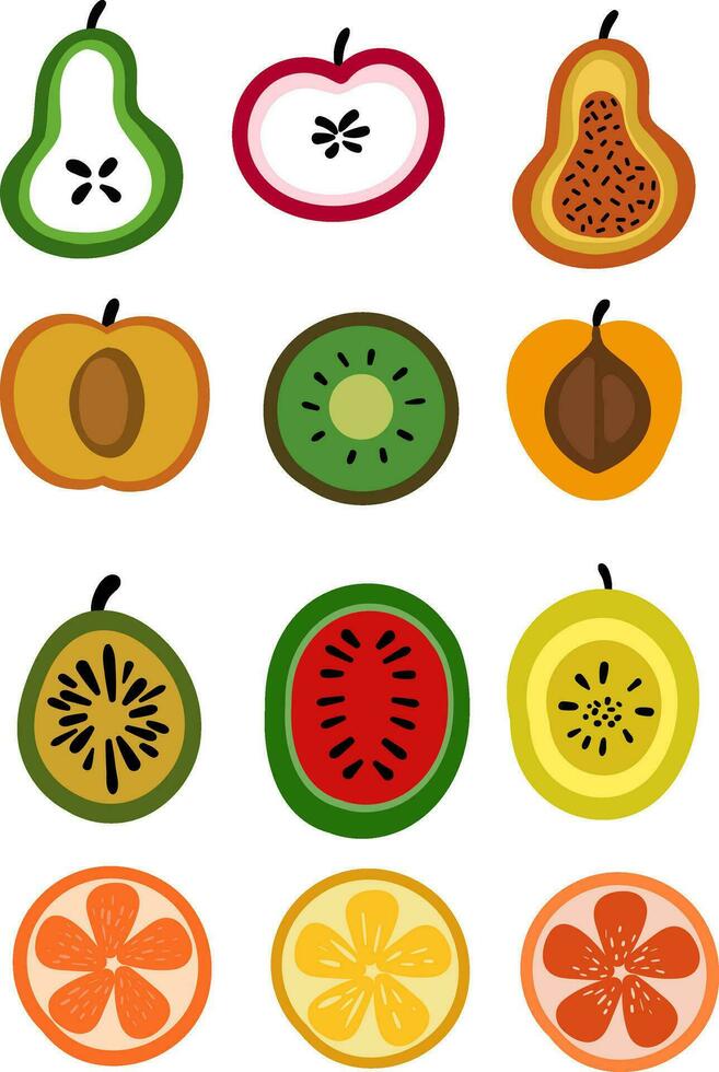 Healthy fruits in half, illustration, vector on white background.