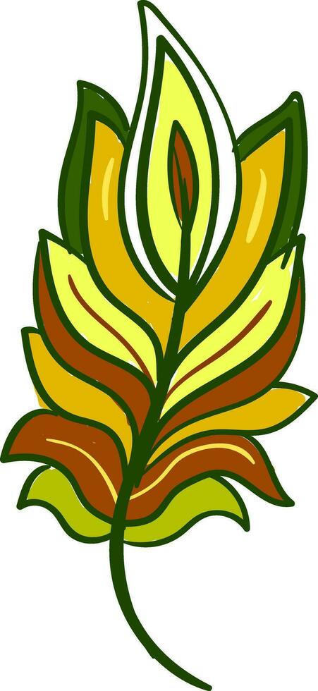 Gorgeous colorful feather vector or color illustration