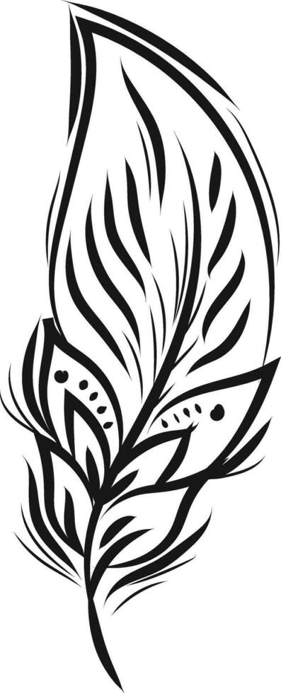 Black and white feather design vector or color illustration