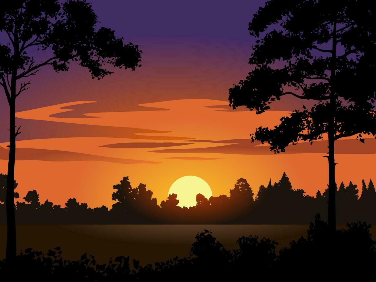 Sunset in forest with silhouette of trees vector