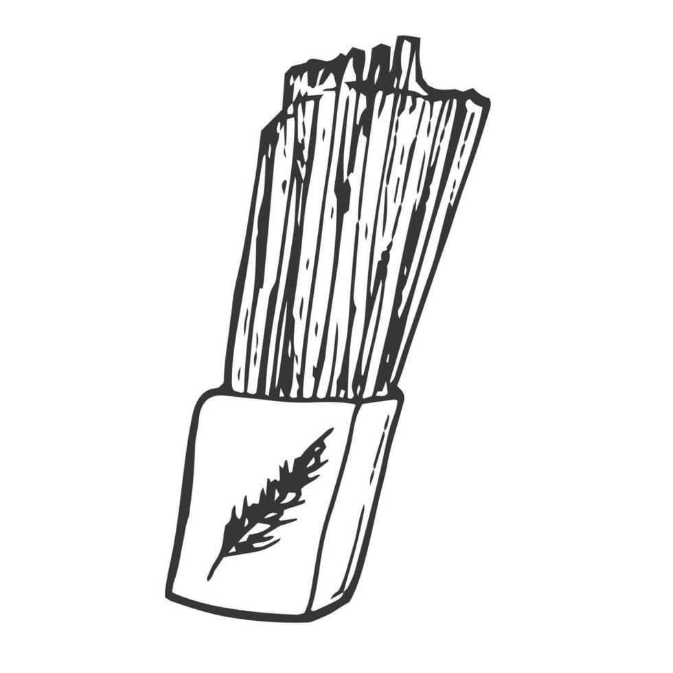 spaghetti pack vector doodle sketch isolated