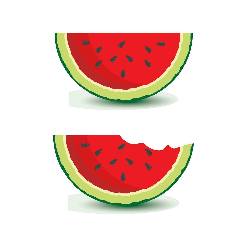 watermelon vector icon illustration design