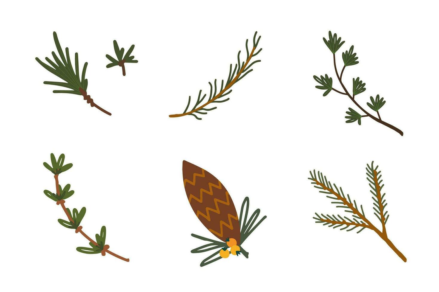 Conifer set. Pine cone, fir twig, spruce branch. Hand drawn modern vector isolated clipart